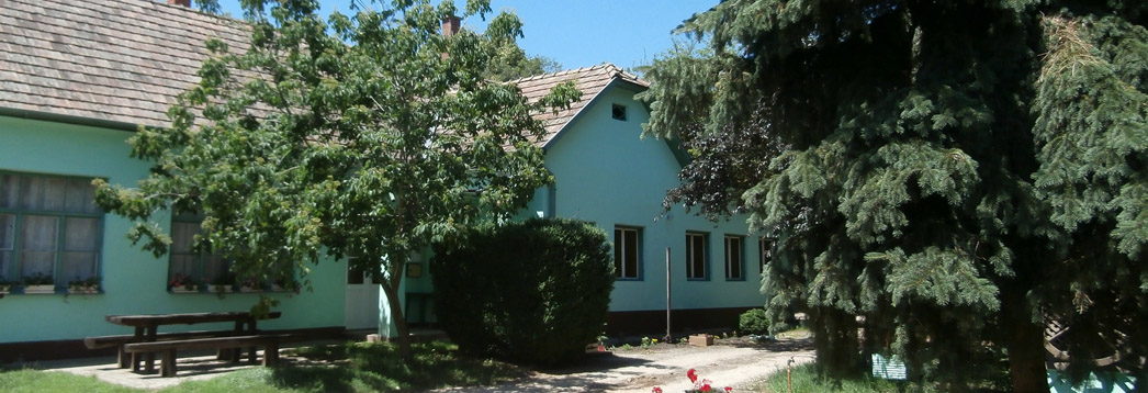 bőgő bika